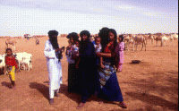 Tuaregowie. Fot. Adam Piechowski.